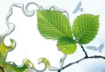 Εφέ φωτογραφιών στην κατηγορία Διαφορετικές № 13921