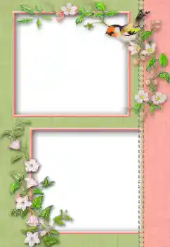 Εφέ φωτογραφιών στην κατηγορία Διαφορετικές № 13930