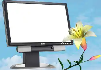 Εφέ φωτογραφιών στην κατηγορία Διαφορετικές № 13988