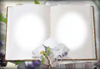 Εφέ φωτογραφιών στην κατηγορία Διαφορετικές № 139914 Εφέ φωτογραφιών στην κατηγορία Διαφορετικές № 139914