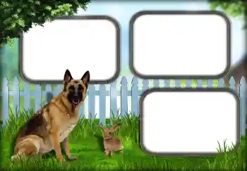 Εφέ φωτογραφιών στην κατηγορία Διαφορετικές № 139921 Εφέ φωτογραφιών στην κατηγορία Διαφορετικές № 139921