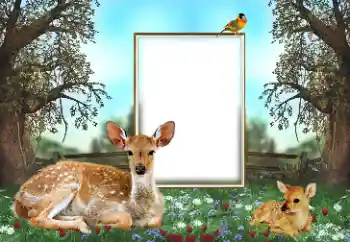 Εφέ φωτογραφιών στην κατηγορία Διαφορετικές № 143762 Εφέ φωτογραφιών στην κατηγορία Διαφορετικές № 143762