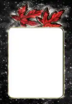 Εφέ φωτογραφιών στην κατηγορία Διαφορετικές № 144867 Εφέ φωτογραφιών στην κατηγορία Διαφορετικές № 144867