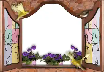 Εφέ φωτογραφιών στην κατηγορία Διαφορετικές № 145186