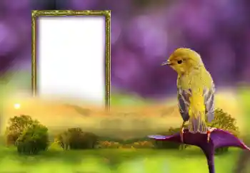 Εφέ φωτογραφιών στην κατηγορία Διαφορετικές № 147660