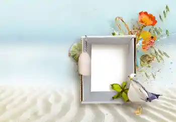 Εφέ φωτογραφιών στην κατηγορία Διαφορετικές № 147890