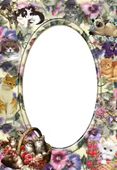 Εφέ φωτογραφιών στην κατηγορία Διαφορετικές № 14919