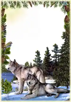 Εφέ φωτογραφιών στην κατηγορία Διαφορετικές № 149260 Εφέ φωτογραφιών στην κατηγορία Διαφορετικές № 149260