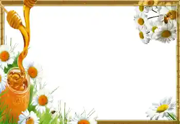 Εφέ φωτογραφιών στην κατηγορία Διαφορετικές № 14966