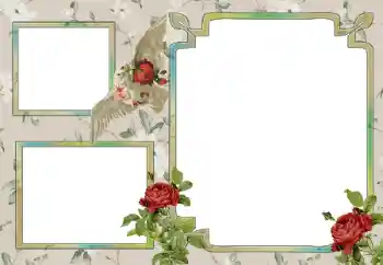 Εφέ φωτογραφιών στην κατηγορία Διαφορετικές № 15030