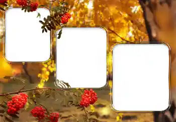 Εφέ φωτογραφιών στην κατηγορία Διαφορετικές № 150527 Εφέ φωτογραφιών στην κατηγορία Διαφορετικές № 150527