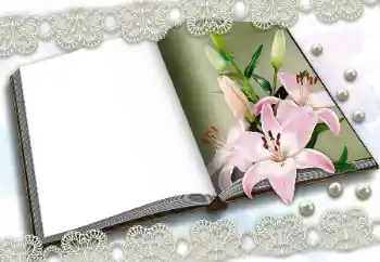 Εφέ φωτογραφιών στην κατηγορία Διαφορετικές № 150570 Εφέ φωτογραφιών στην κατηγορία Διαφορετικές № 150570