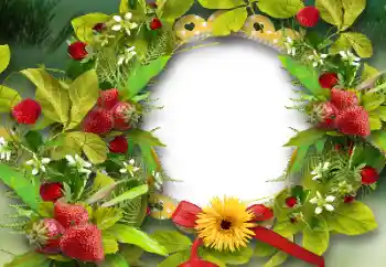 Εφέ φωτογραφιών στην κατηγορία Διαφορετικές № 151668