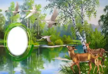 Εφέ φωτογραφιών στην κατηγορία Διαφορετικές № 151671