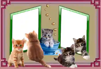 Εφέ φωτογραφιών στην κατηγορία Διαφορετικές № 153045 Εφέ φωτογραφιών στην κατηγορία Διαφορετικές № 153045