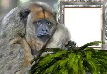 Εφέ φωτογραφιών στην κατηγορία Διαφορετικές № 154503