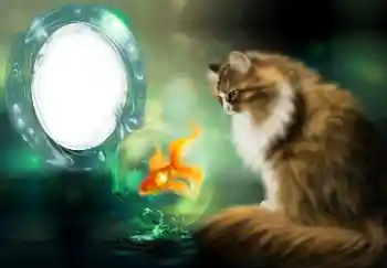 Εφέ φωτογραφιών στην κατηγορία Διαφορετικές № 154509