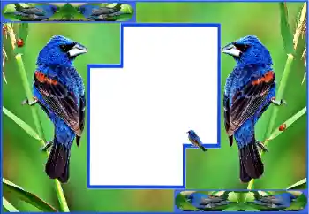 Εφέ φωτογραφιών στην κατηγορία Διαφορετικές № 154512