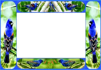 Εφέ φωτογραφιών στην κατηγορία Διαφορετικές № 154514