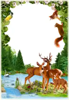 Εφέ φωτογραφιών στην κατηγορία Διαφορετικές № 154547 Εφέ φωτογραφιών στην κατηγορία Διαφορετικές № 154547