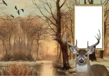 Εφέ φωτογραφιών στην κατηγορία Διαφορετικές № 154607