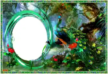 Εφέ φωτογραφιών στην κατηγορία Διαφορετικές № 154704