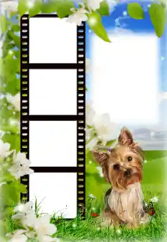 Εφέ φωτογραφιών στην κατηγορία Διαφορετικές № 154718