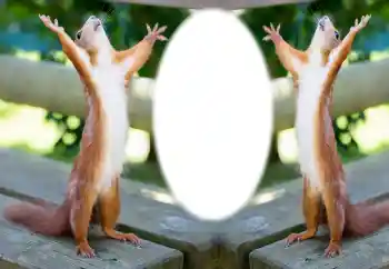 Εφέ φωτογραφιών στην κατηγορία Διαφορετικές № 154733