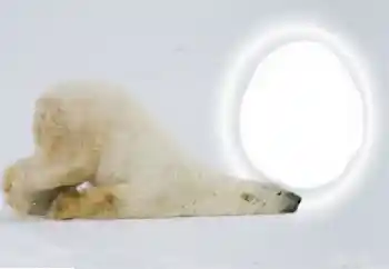 Εφέ φωτογραφιών στην κατηγορία Διαφορετικές № 154735