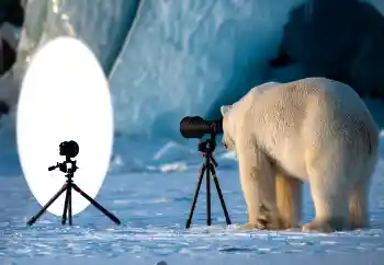 Εφέ φωτογραφιών στην κατηγορία Διαφορετικές № 154736