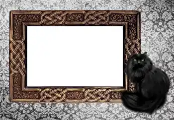 Εφέ φωτογραφιών στην κατηγορία Διαφορετικές № 155997