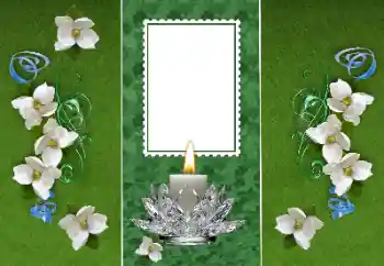 Εφέ φωτογραφιών στην κατηγορία Διαφορετικές № 157116