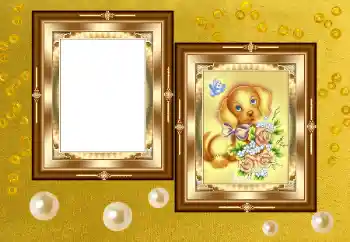 Εφέ φωτογραφιών στην κατηγορία Διαφορετικές № 158391