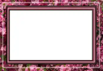 Εφέ φωτογραφιών στην κατηγορία Διαφορετικές № 158431