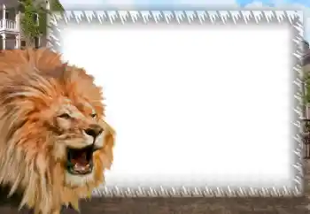 Εφέ φωτογραφιών στην κατηγορία Διαφορετικές № 158462