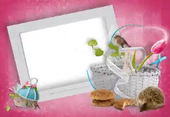 Εφέ φωτογραφιών στην κατηγορία Διαφορετικές № 15919