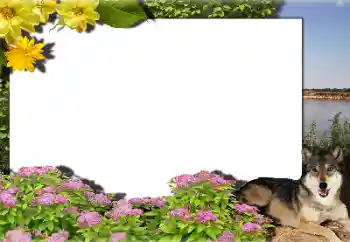 Εφέ φωτογραφιών στην κατηγορία Διαφορετικές № 159462