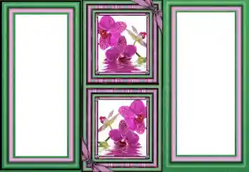 Εφέ φωτογραφιών στην κατηγορία Διαφορετικές № 160589