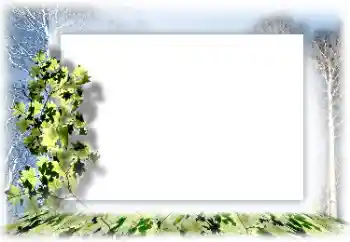 Εφέ φωτογραφιών στην κατηγορία Διαφορετικές № 160744 Εφέ φωτογραφιών στην κατηγορία Διαφορετικές № 160744