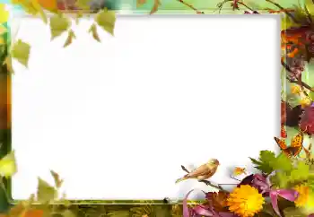 Εφέ φωτογραφιών στην κατηγορία Διαφορετικές № 160773 Εφέ φωτογραφιών στην κατηγορία Διαφορετικές № 160773