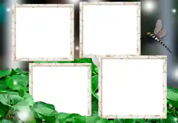 Εφέ φωτογραφιών στην κατηγορία Διαφορετικές № 161947