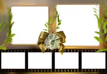 Εφέ φωτογραφιών στην κατηγορία Διαφορετικές № 161948