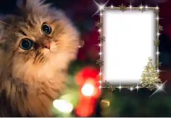 Εφέ φωτογραφιών στην κατηγορία Διαφορετικές № 162030 Εφέ φωτογραφιών στην κατηγορία Διαφορετικές № 162030