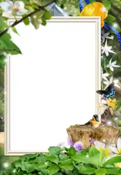 Εφέ φωτογραφιών στην κατηγορία Διαφορετικές № 162044 Εφέ φωτογραφιών στην κατηγορία Διαφορετικές № 162044