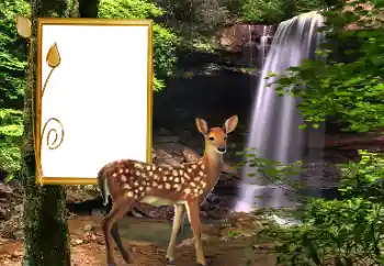 Εφέ φωτογραφιών στην κατηγορία Διαφορετικές № 163220