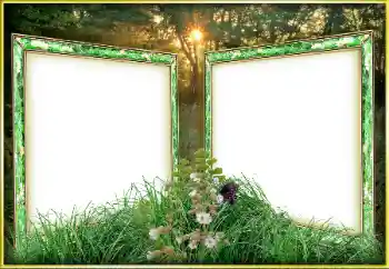 Εφέ φωτογραφιών στην κατηγορία Διαφορετικές № 163263