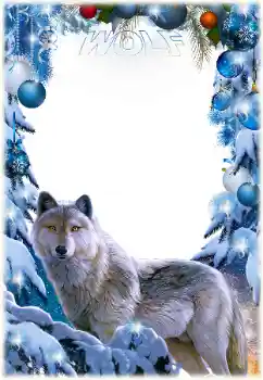 Η επιγραφή στην κορνίζα: Wolf