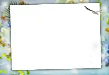 Εφέ φωτογραφιών στην κατηγορία Διαφορετικές № 164634