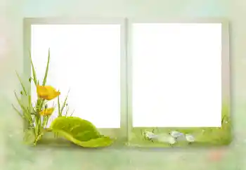 Εφέ φωτογραφιών στην κατηγορία Διαφορετικές № 164751 Εφέ φωτογραφιών στην κατηγορία Διαφορετικές № 164751