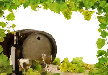 Εφέ φωτογραφιών στην κατηγορία Διαφορετικές № 164780 Εφέ φωτογραφιών στην κατηγορία Διαφορετικές № 164780